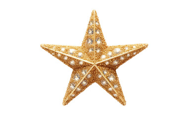 Fototapeta na wymiar Sparkling Elegance: Unveiling the Glittering Christmas Star Isolated on Transparent Background PNG.