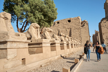 Karnak Temple sphinxes alley, The ruins of the temple - obrazy, fototapety, plakaty
