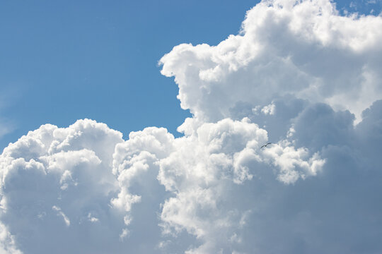 white clouds against blue sky.