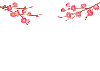 梅　水彩　背景イラスト