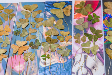 Beautiful  pressed flower colorful bookmarks with clovers