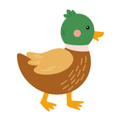 Duck Flat Design Vector