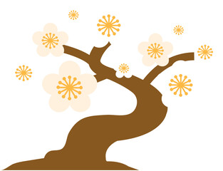 Chinese White Plum Blossom