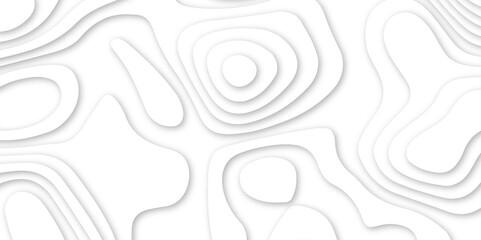 Abstract wavy line 3d paper cut white background. abstract white background with smooth wavy layers. silver grid map line topography mount contour map .