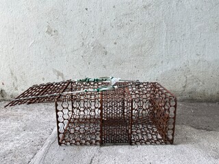 Old and rusty mouse trap cage with hook bait and swing door for catching mouse
