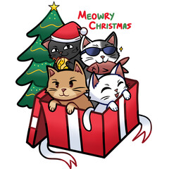 A box of cat as a Christmas gift