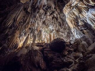 The cave Postojna Cave in Slovenia