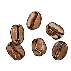 coffee beans isolated on transparent backgound