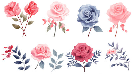 Watercolor elements pink, red and blue roses on a white background