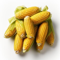 Top view of fresh corn on white background.