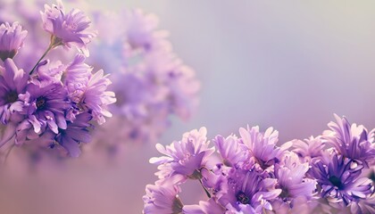 Purple blossoms in an abstract flowery background with gentle pastel colors