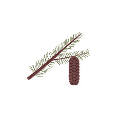 Branch of conifer tree with needles and cone, taiga evergreen pine tree fir, cedar or spruce twig, vector forest plant