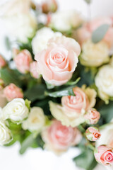 Up close of Pink and White Roses