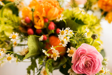 Obraz premium Colorful arrangement of flower blossoms