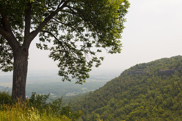 Foggy view from mountaintop in color