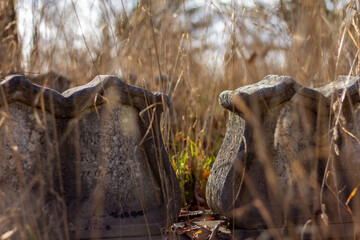 Grave stones hidden by tall grass