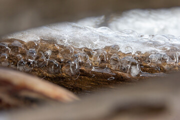 Ice frozen on log perspective shot