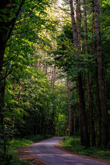 View of winding dirt road