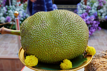 Close-up of jackfruit on plate and marigold flower