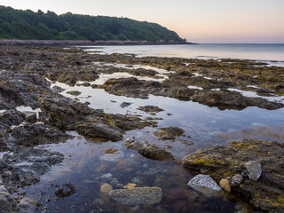 Rock Pools, Castle Beach, Falmouth, UK.