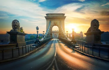 Foto auf Acrylglas Kettenbrücke Statues of Lions on Chain Bridge in Budapest at sunrise, Hungary