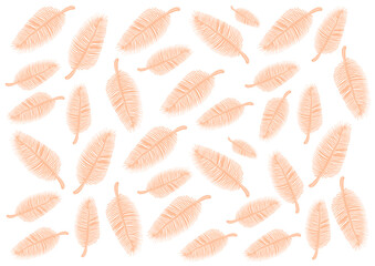 Peach feathers of different sizes on a white background. Pattern. Soft and gentle. Thin, delicate lines. Chaotically located. Print, wrapping, fabric, design. Peach fuzz. Color of the year.
