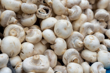 Close up of champignon mushrooms for sale in the market.