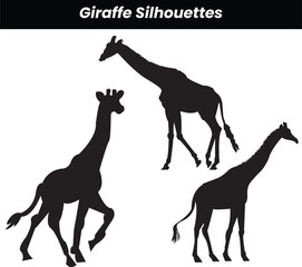 Set of vector silhouettes of giraffes
