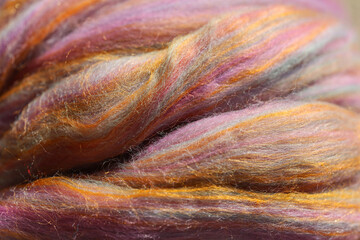Closeup detail of colourful sheep wool merino, alpaca and silk fibres in a roving pleat, ready for...