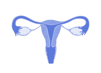 Isolated of a womb in flat vector illustration.