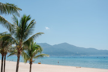 My Khe Beach with palm trees in Da Nang, Vietnam
