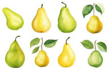 Watercolor painting Pear fruit symbols on a white background. 