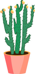 blooming cactus. Vector illustration. House plant in a pot.