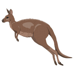 Australian big red kangaroo in a jump. Endemic species of Australia. Realistic vector animal