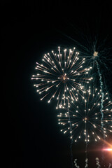 Fototapeta premium Fireworks