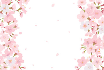 Obraz na płótnie Canvas 桜のフレーム素材（はがきサイズ）