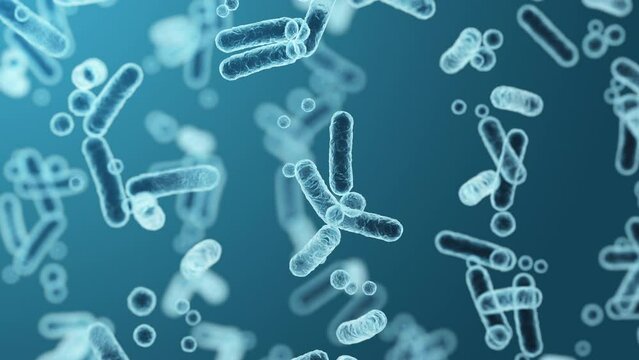 Enterobacteriaceae, gram-negative rod-shaped bacteria, part of intestinal microbiome and causative agents of different infections, 3D rendering. Escherichia coli, Klebsiella, Enterobacter and other