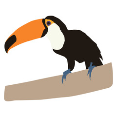 Toco Toucan Bird Element Illustration