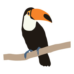 Toco Toucan Bird Element Illustration
