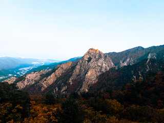 Fototapeta na wymiar Korean Mountain Forest in Autumn with a Bright Sun Background