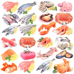 Set of seafood isolated