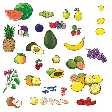 Icons Obst