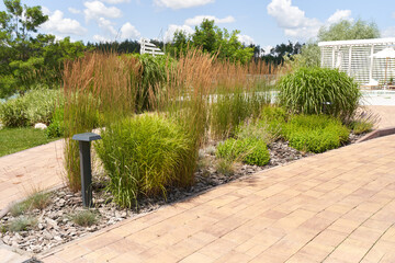 Landscaping with shrubs in the garden