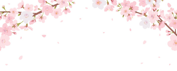Fototapeta na wymiar 桜のフレーム素材