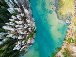 Aerial drone view of turquoise river   bend through forest in autumn.
