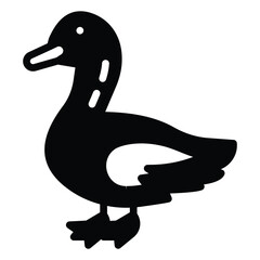  Quacking waterfowl with a charming waddle, found in various habitats around the world.