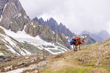Fototapeta na wymiar Horse on Himalayas Landscape the mountains view from the Kashmir valley in the Himalayan region Nepal. Asian travel and nature in India.