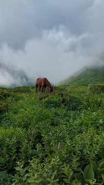 boy in the mountains on a hike, nature, sky, mountains

