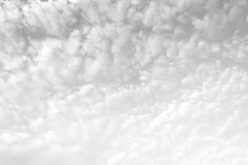 White cloud. White sky background