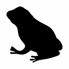 silhouette of a black frog or toad